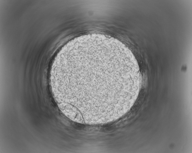 X0000116880291201002021154