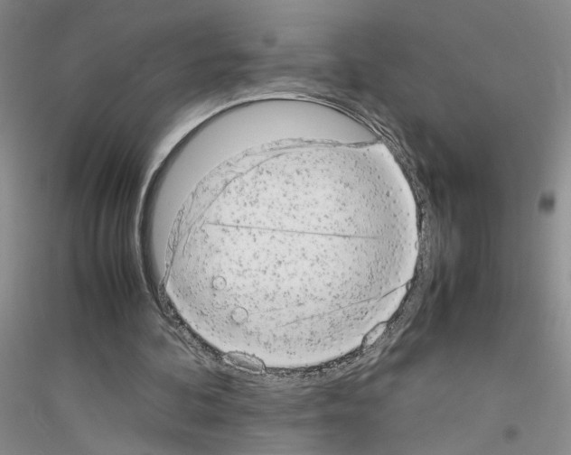 X0000116880292201002021154