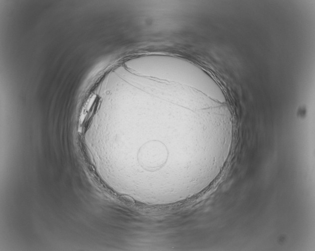 X0000116880293201002021154