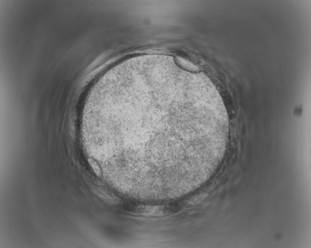 X0000116880295201002021154