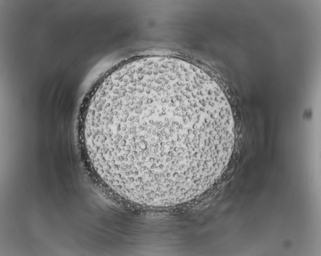 X0000116880296201002021154