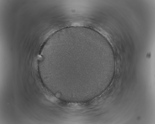 X0000116880297201002021154