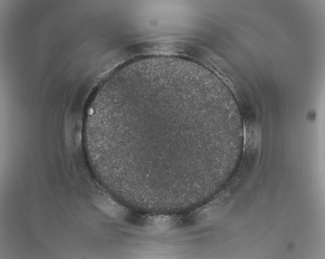 X0000116880301201002021154