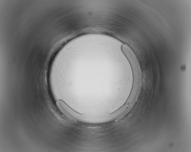 X0000116880302201002021154
