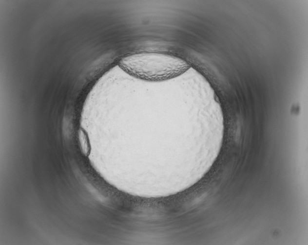 X0000116880304201002021154
