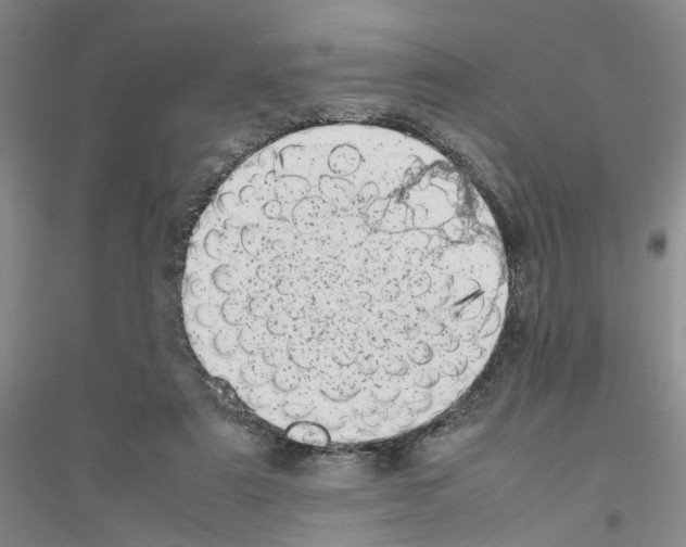 X0000116880307201002021154