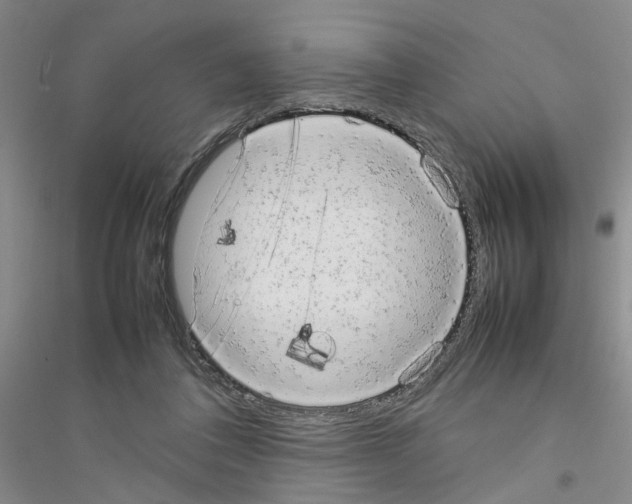 X0000116880308201002021154