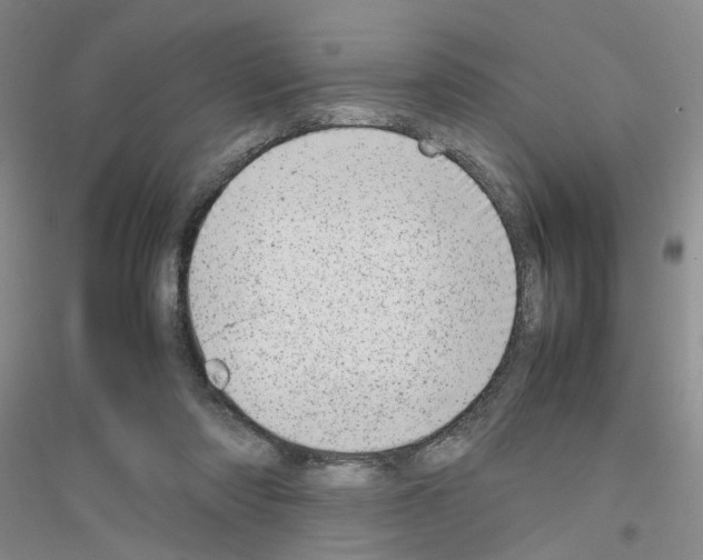 X0000116880310201002021154