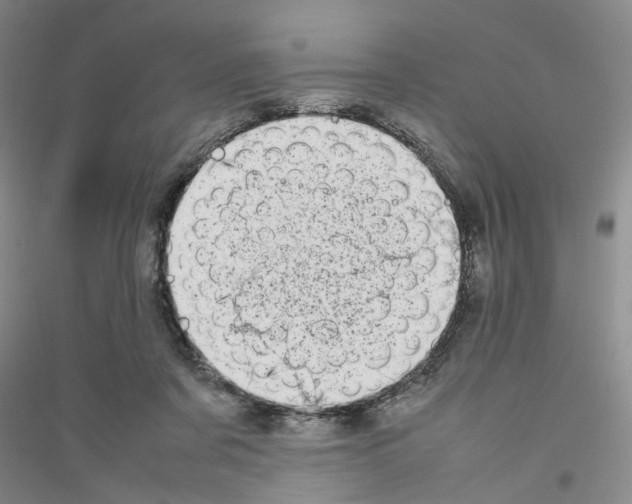 X0000116880311201002021154