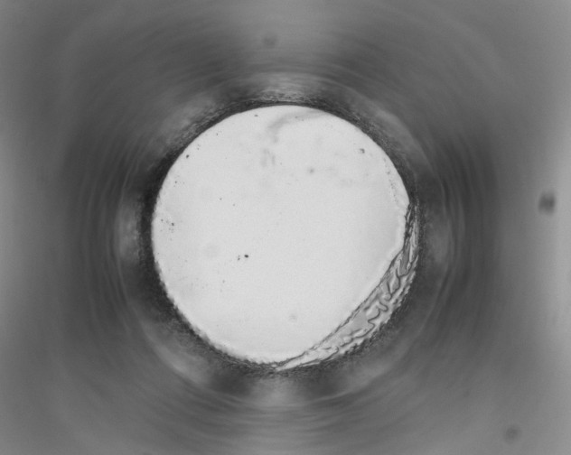 X0000116880312201002021154