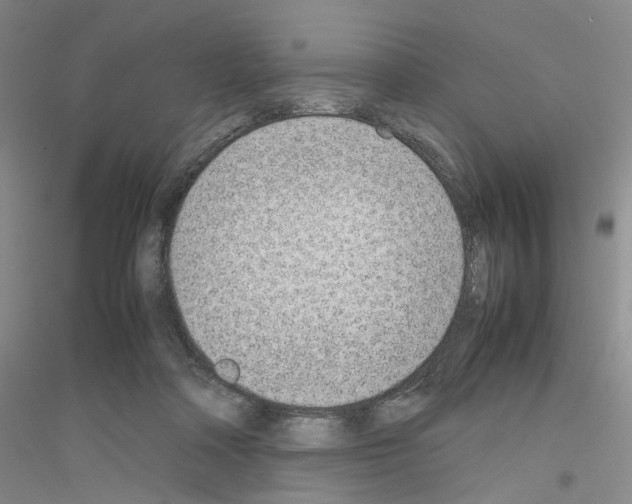 X0000116880314201002021154
