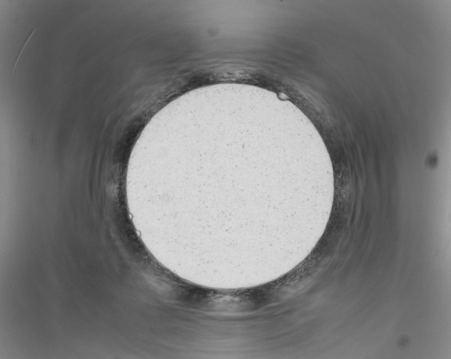 X0000116880315201002021153
