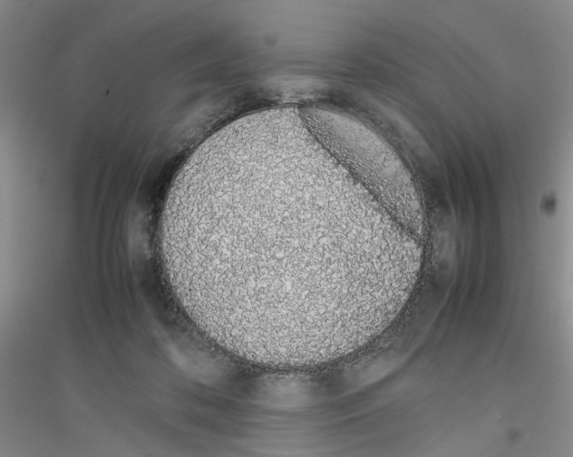 X0000116880316201002021153