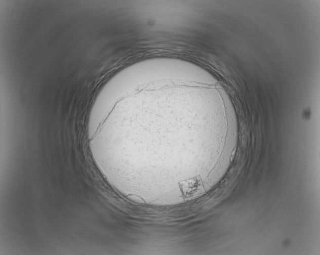 X0000116880317201002021153