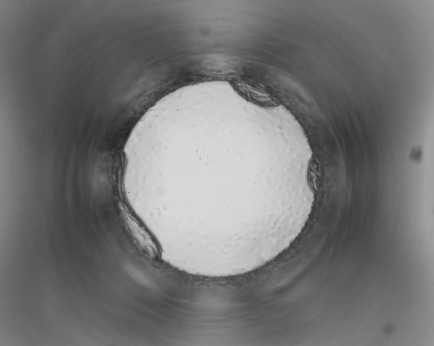 X0000116880320201002021153