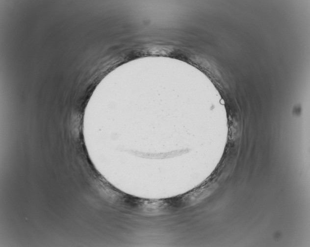 X0000116880321201002021153
