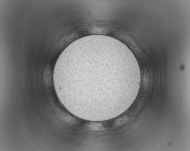 X0000116880322201002021153