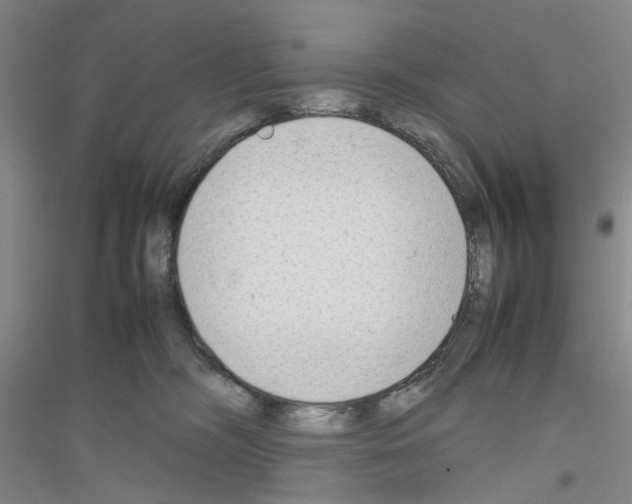 X0000116880326201002021153