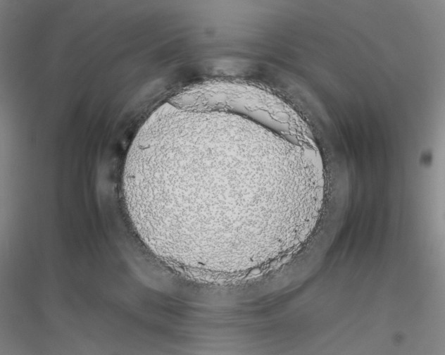 X0000116880328201002021153