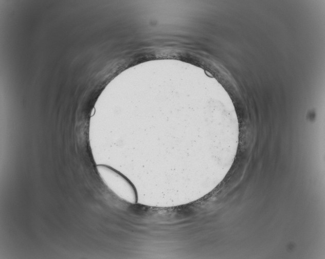X0000116880329201002021153