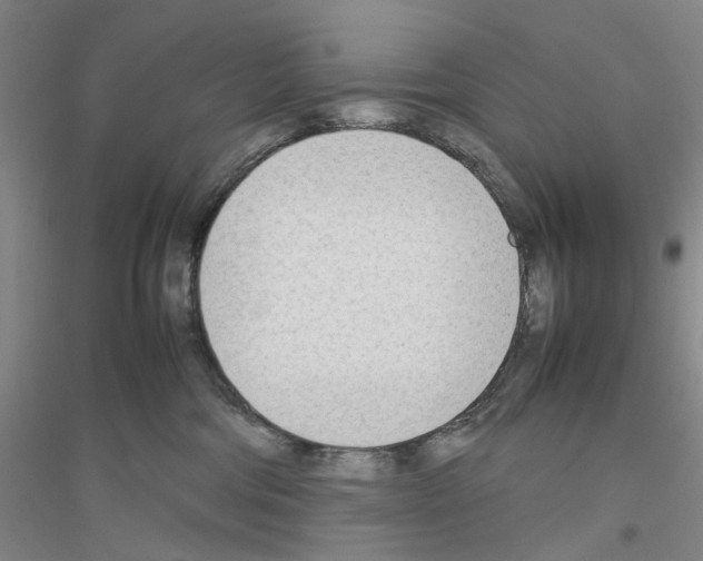 X0000116880330201002021153