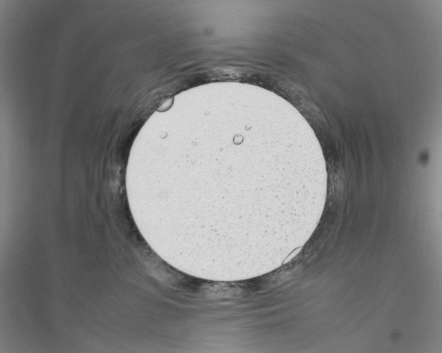 X0000116880331201002021153