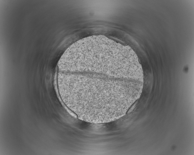 X0000116880333201002021153