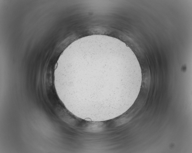X0000116880334201002021153