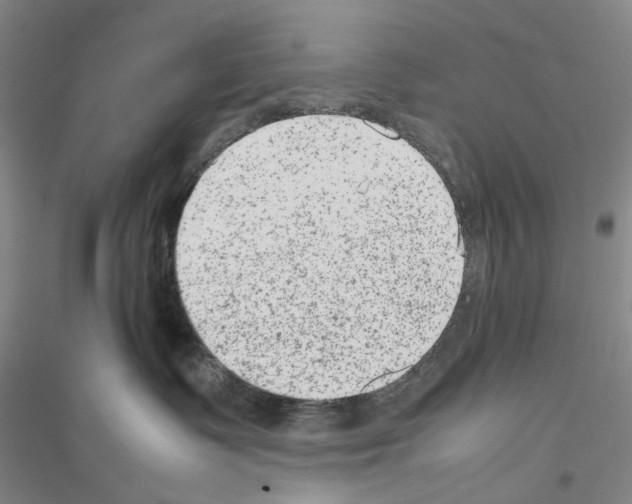 X0000116880335201002021153