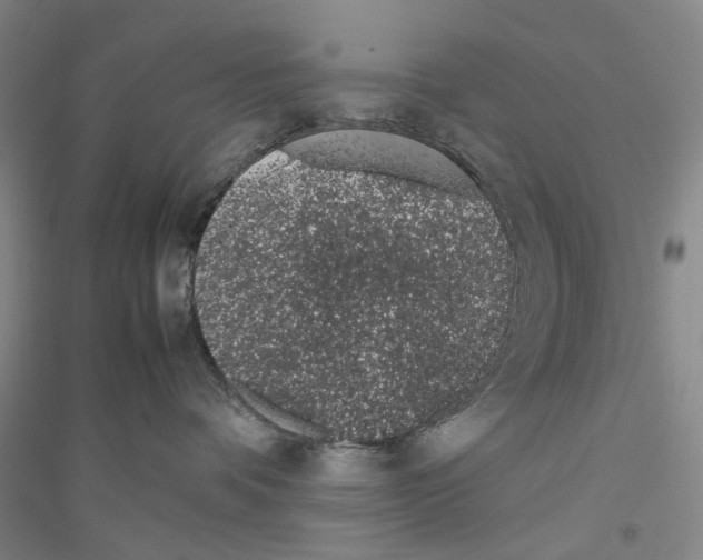 X0000116880336201002021153