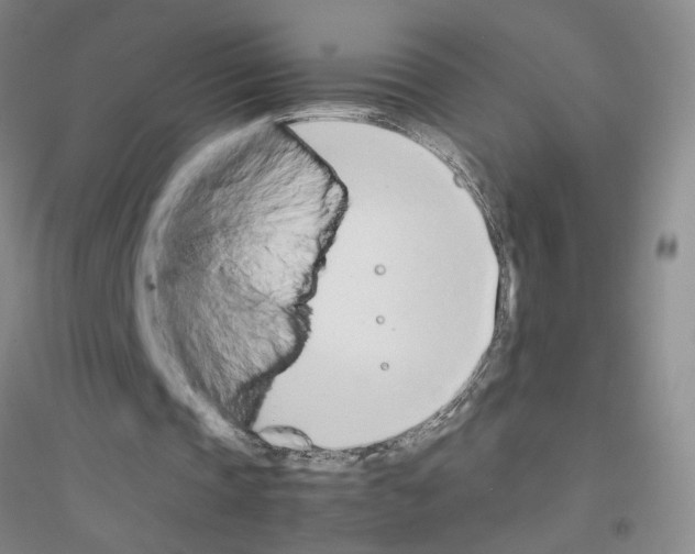 X0000116880337201002021153