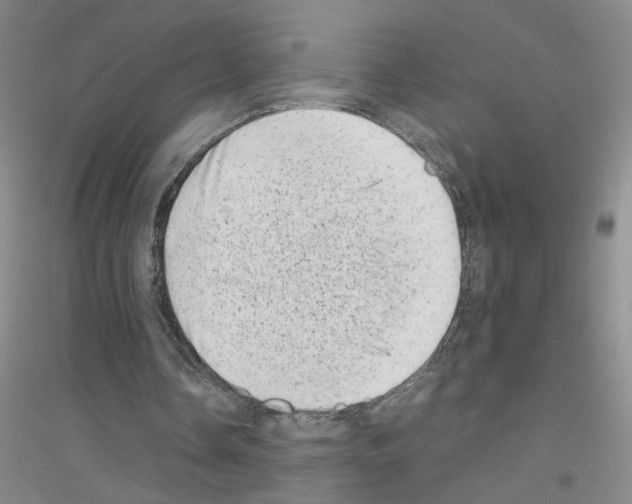 X0000116880338201002021153