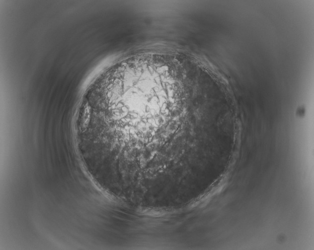 X0000116880341201002021153