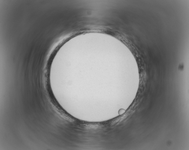 X0000116880342201002021153