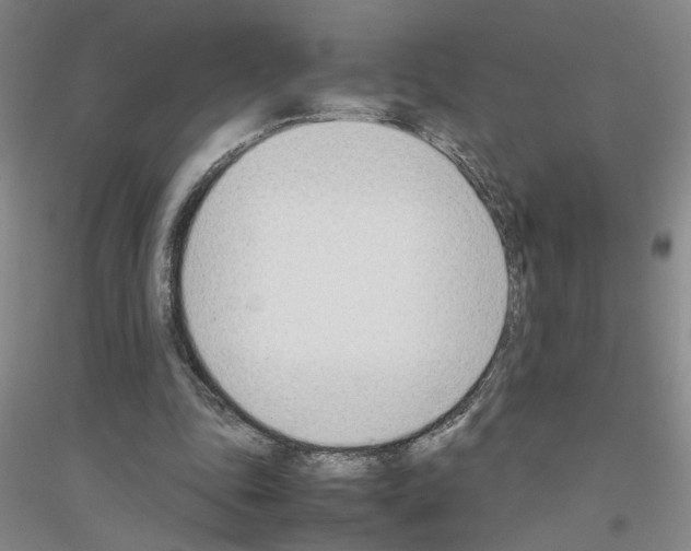 X0000116880343201002021153