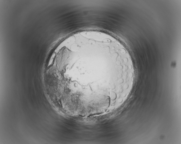 X0000116880345201002021153