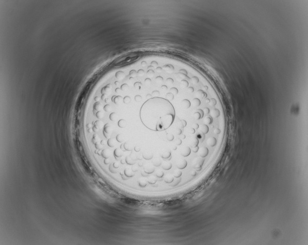 X0000116880346201002021153