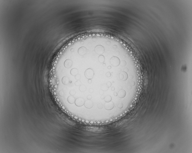X0000116880347201002021153