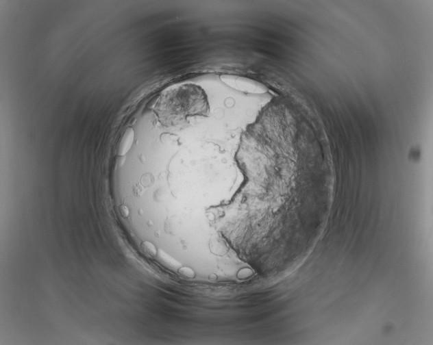 X0000116880349201002021153