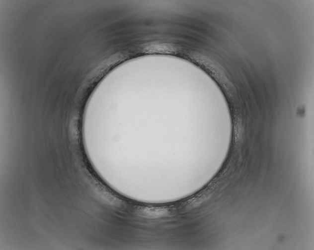 X0000116880353201002021153