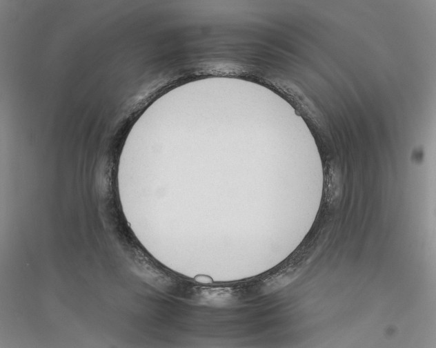 X0000116880355201002021153