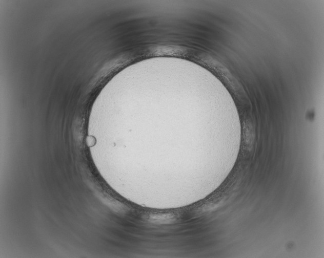 X0000116880357201002021153