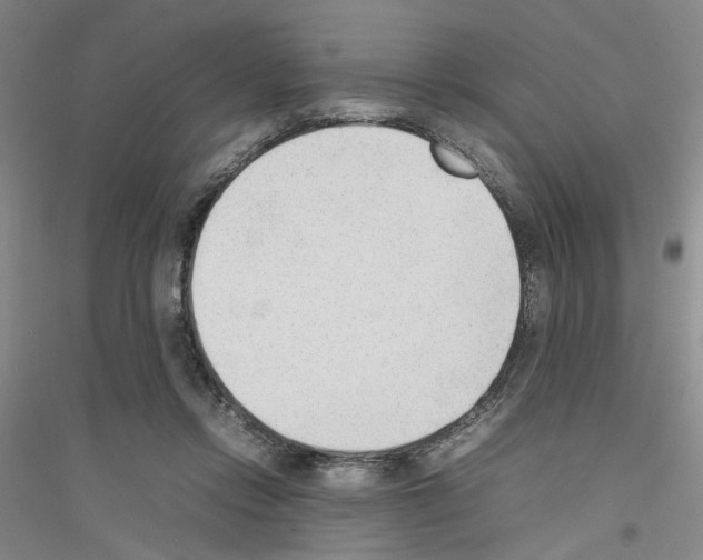 X0000116880358201002021153