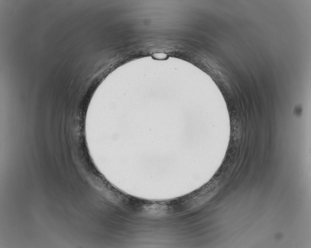 X0000116880362201002021153