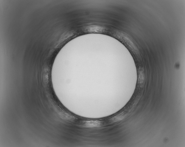 X0000116880363201002021153