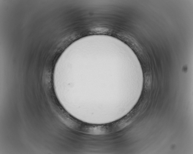 X0000116880365201002021153
