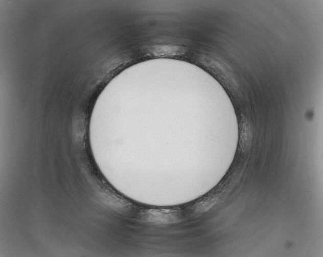 X0000116880367201002021153
