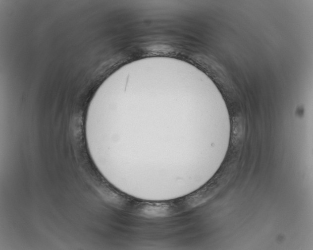 X0000116880369201002021153