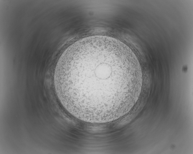 X0000116880370201002021153