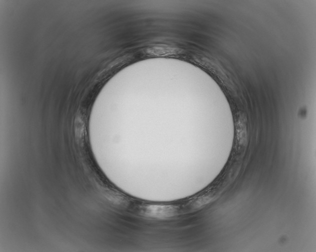 X0000116880371201002021153